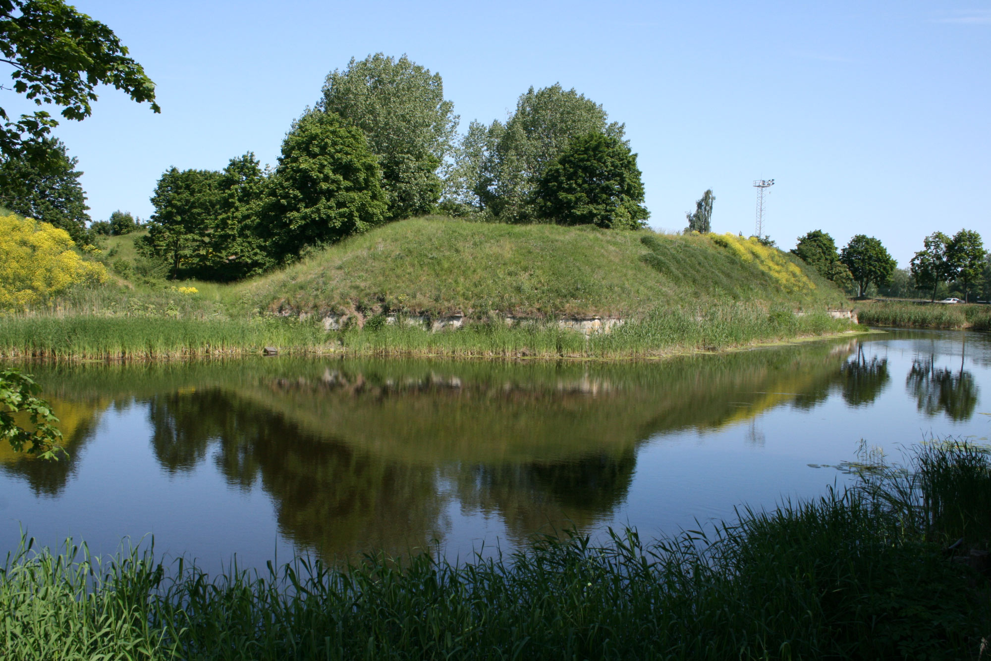 Daugavgriva